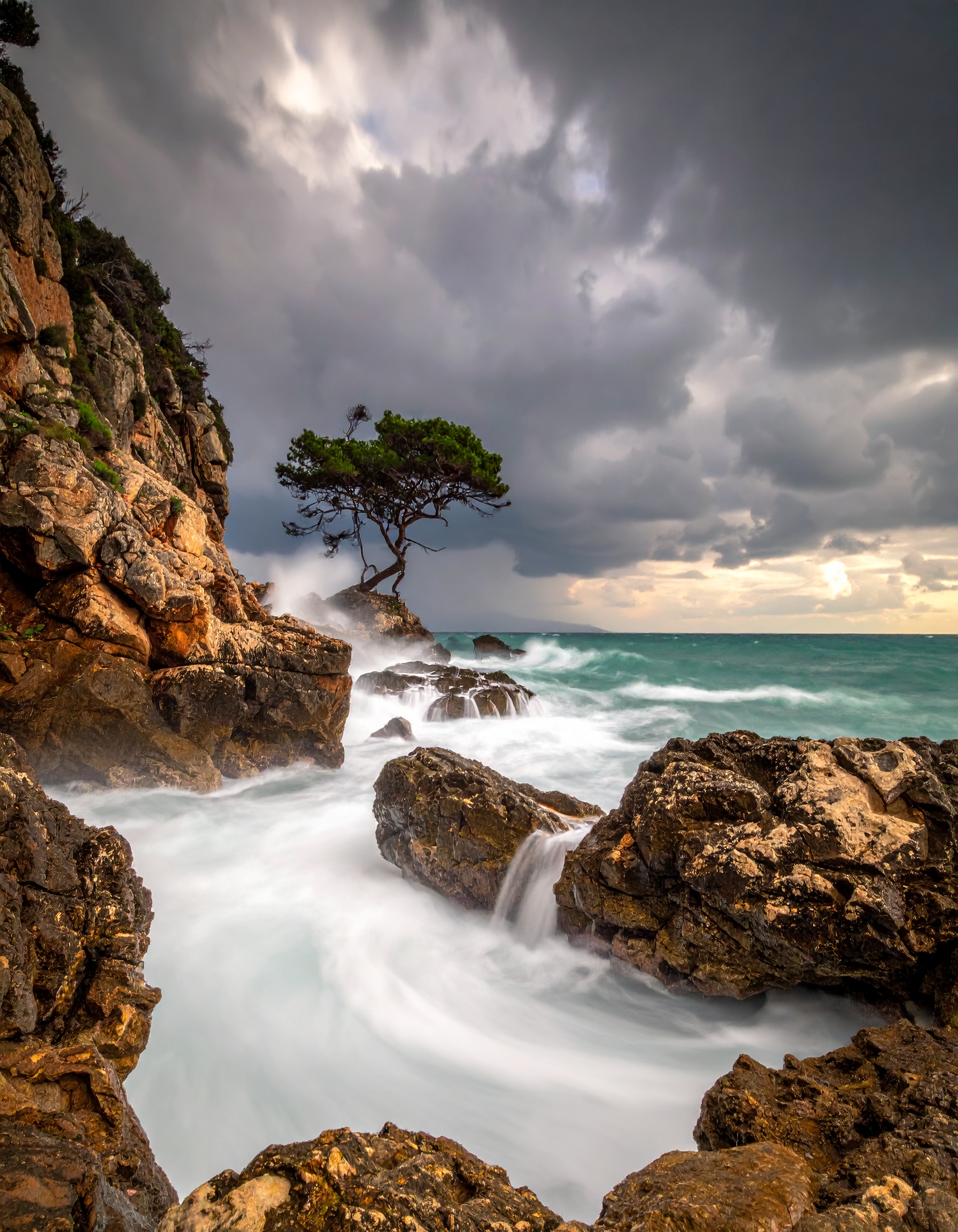 Dramatic coastal scene with a solitary tree on rugged cliffs
