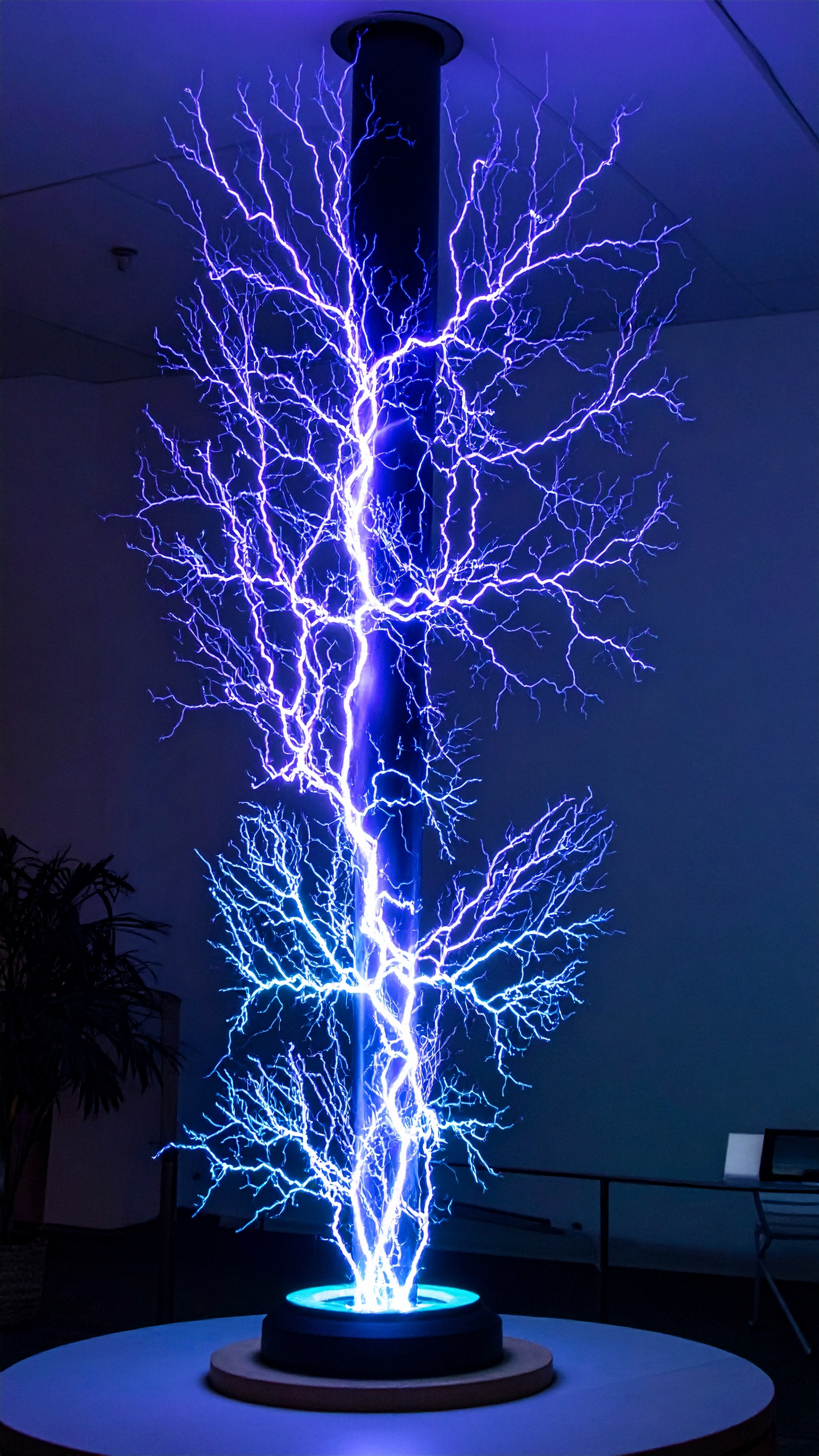 A striking electric light display forms a tree-like pattern in vibrant blue against a dark