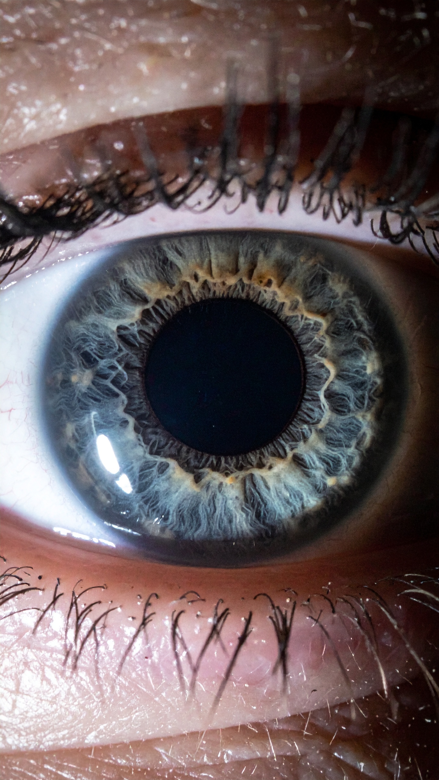 Close-up of a human eye showcasing intricate iris patterns