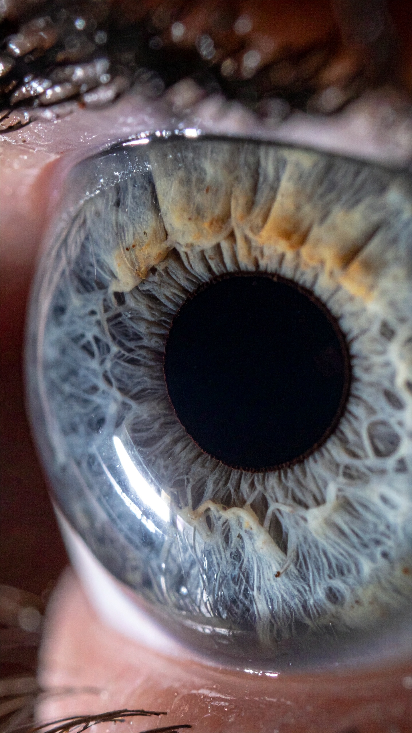 A close-up view of a human eye's intricate patterns and colors