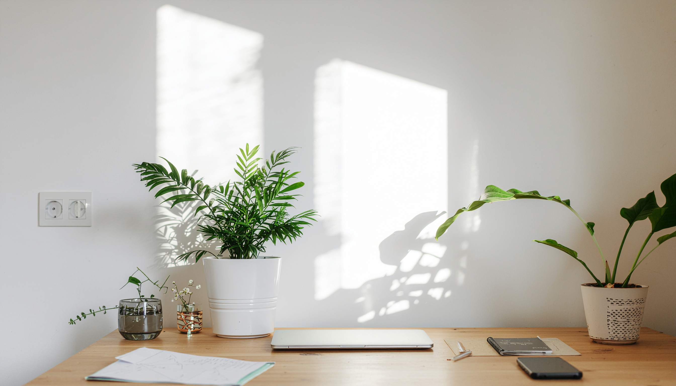 Mesa de madeira clara com vasos de plantas verdes iluminados pela luz suave do sol. A composição minimalista inclui um laptop fechado, cadernos e um smartphone. As sombras projetadas na parede branca criam um ambiente sereno e organizado, ideal para concentração e produtividade. O foco é nítido, destacando os detalhes das folhas e o contraste com a superfície clara da parede.