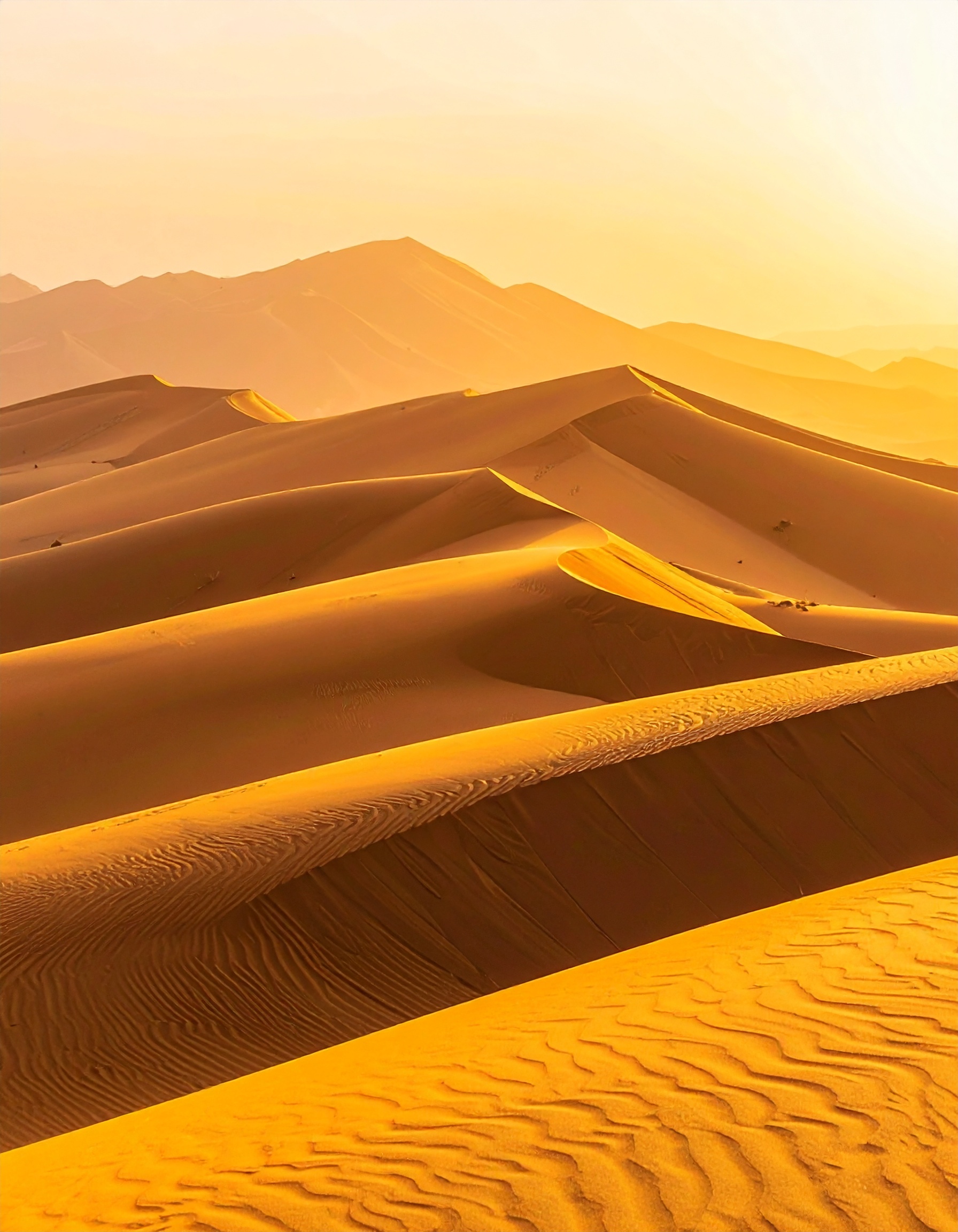 Golden sand dunes gently roll under the warm glow of the sun