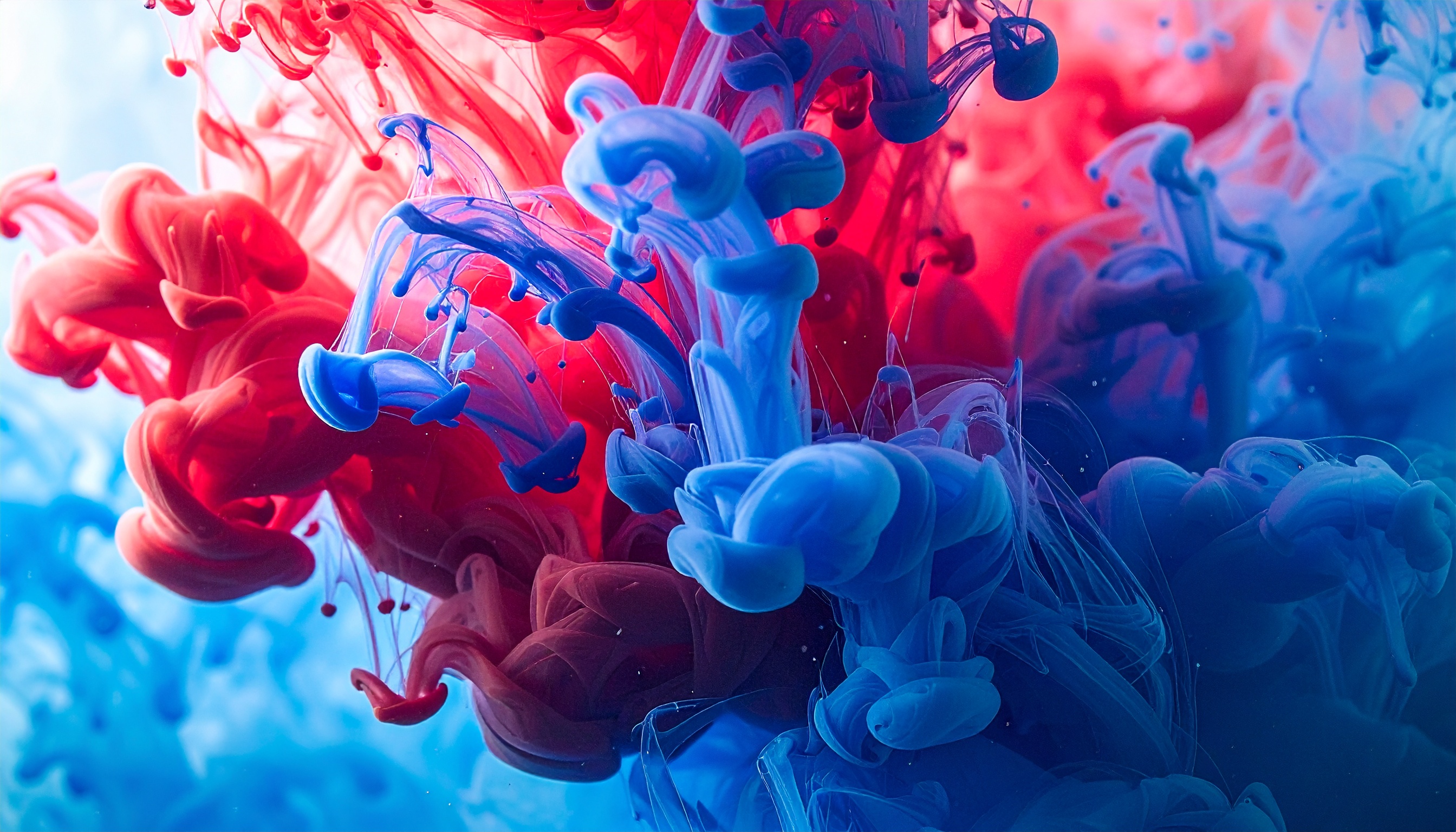 Abstract Red and Blue Paint Mixing