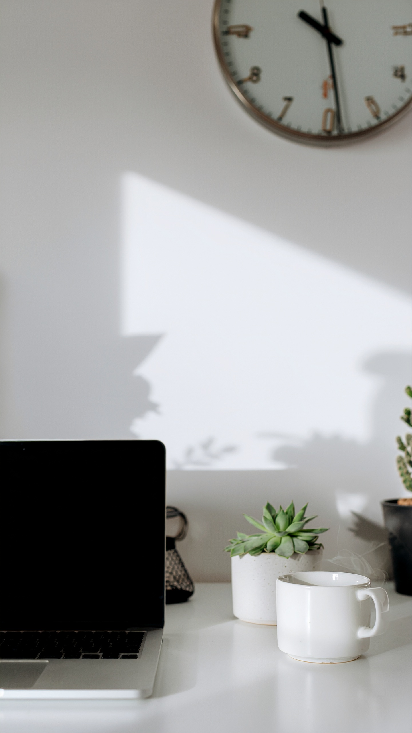 A sleek laptop rests on a white desk beside a steaming cup and a potted succulent