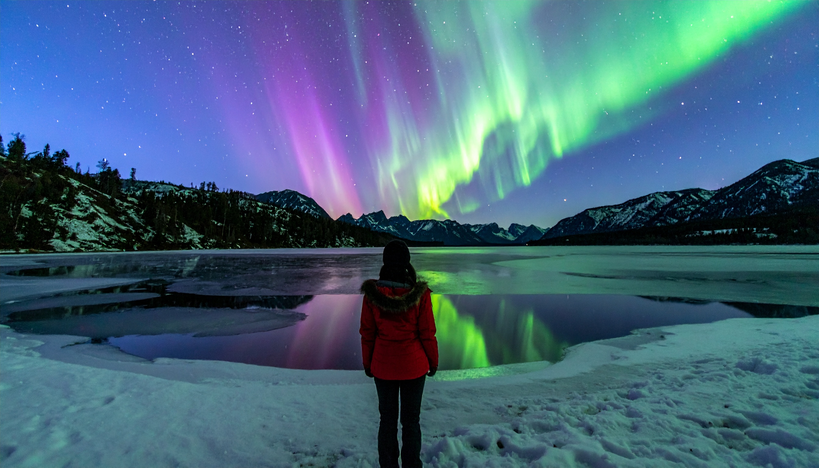 A person stands mesmerized by the vibrant Northern Lights over a snowy landscape