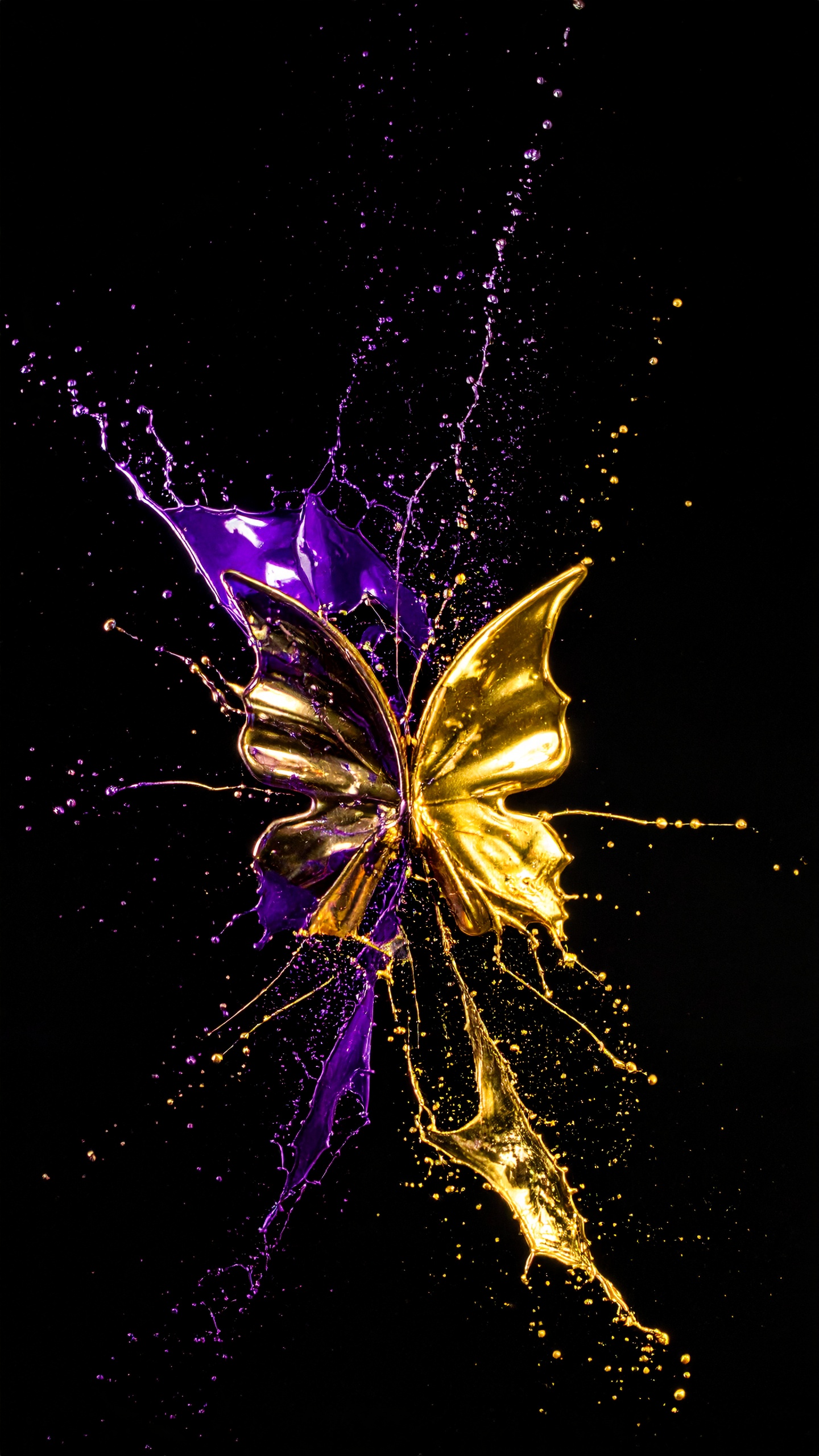 A golden butterfly with vibrant purple splashes creates a dramatic contrast against a black backgrou