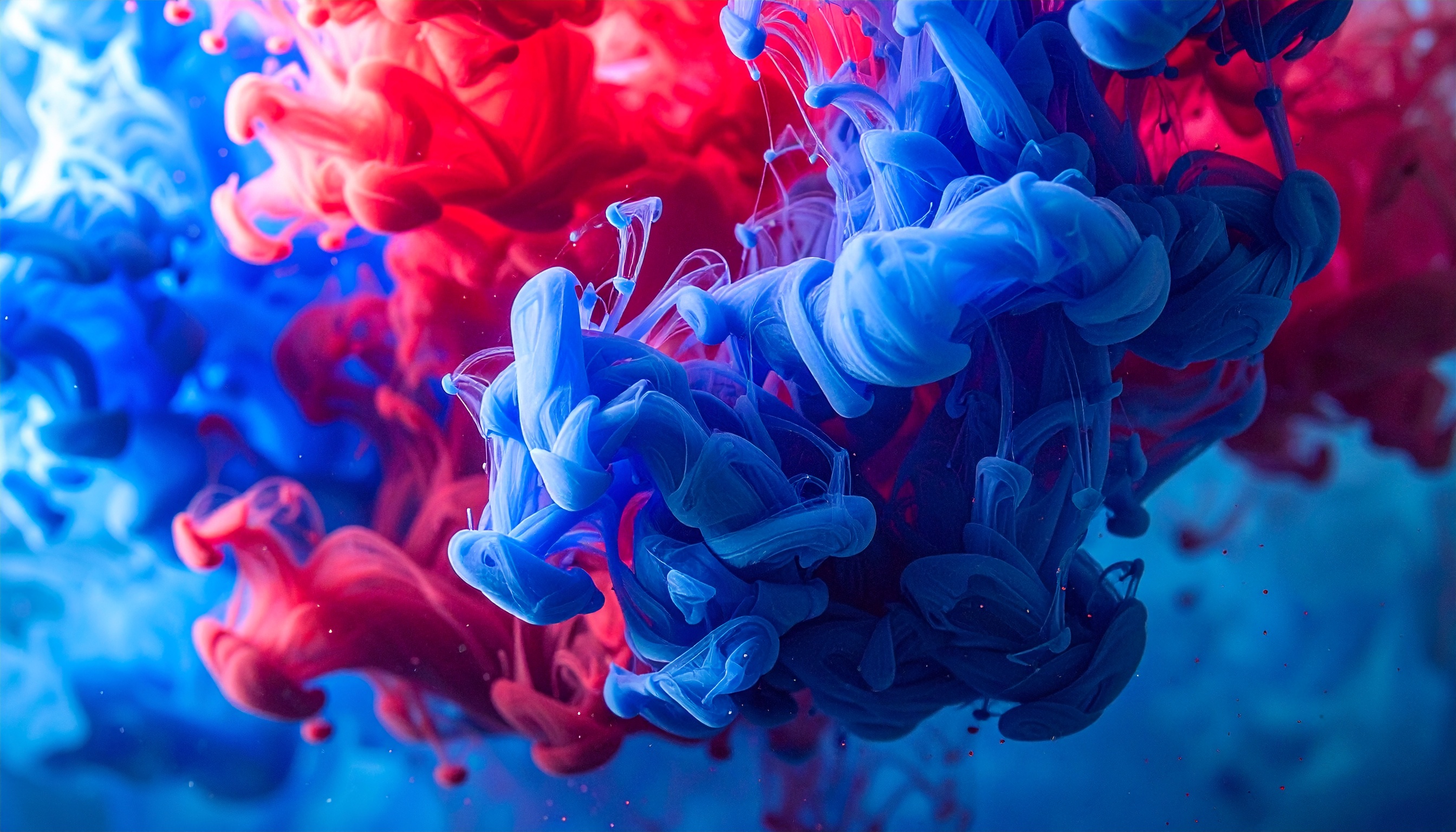 Vibrant Flow of Red and Blue Inks in Water