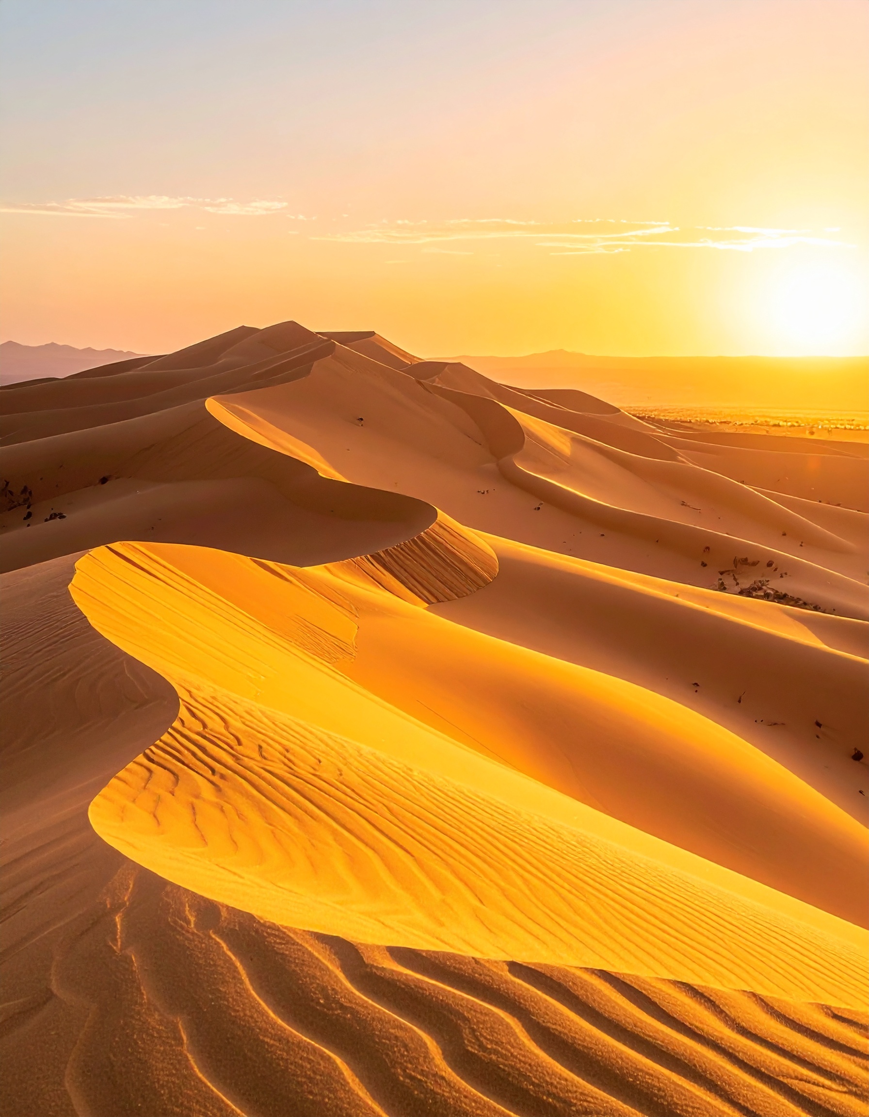 Golden sand dunes bask under a warm, setting sun