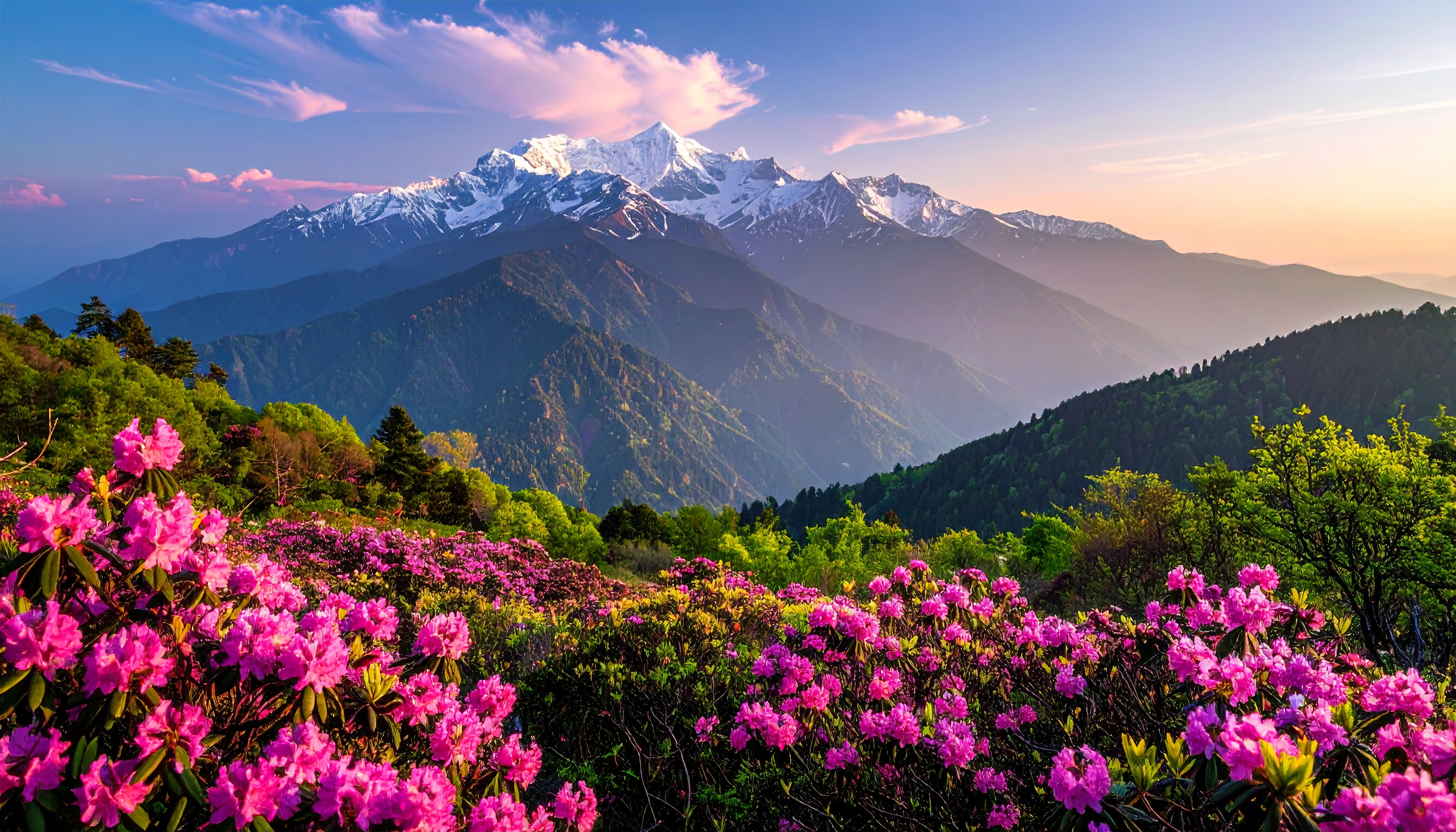 Montanhas majestosas cobertas de neve ao fundo dão um toque de serenidade à imagem. Ideal para promover turismo ou produtos relacionados à natureza, a cena destaca a beleza das flores cor-de-rosa em primeiro plano. As cores vibrantes e a iluminação suave evocam uma sensação de tranquilidade e inspiração. Perfeito para decoração de ambientes que buscam transmitir paz e beleza natural. Um excelente exemplo de como a combinação de elementos naturais pode criar um visual impactante e harmonioso.