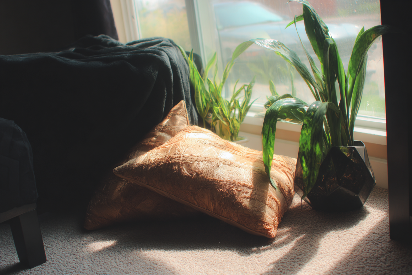 Sala aconchegante com almofadas douradas ao lado de uma janela iluminada pelo sol, complementada por plantas verdes vibrantes em vasos modernos, criando uma atmosfera serena e acolhedora.