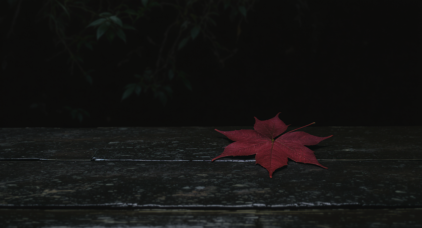 A single red maple leaf rests on a dark wooden surface