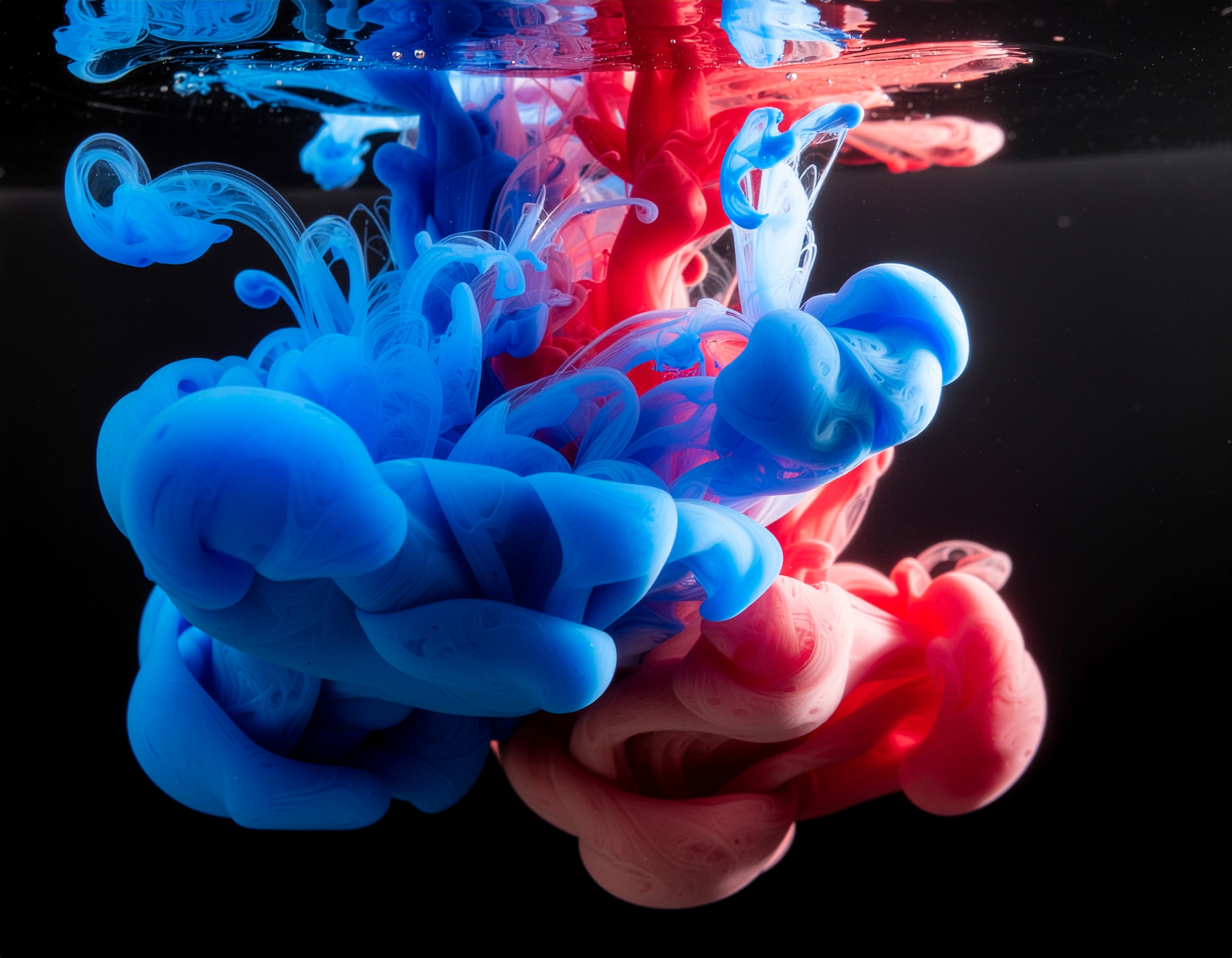 Turbilhão de tinta azul e vermelha em água, capturado em alta definição com contraste acentuado contra fundo preto, criando uma sensação etérea e dinâmica. A interação das cores forma padrões fluidos e abstratos, com iluminação suave destacando a textura das nuvens de tinta, enquanto bolhas de ar sobem em direção à superfície. A composição artística evoca uma sensação de movimento e transformação contínua.