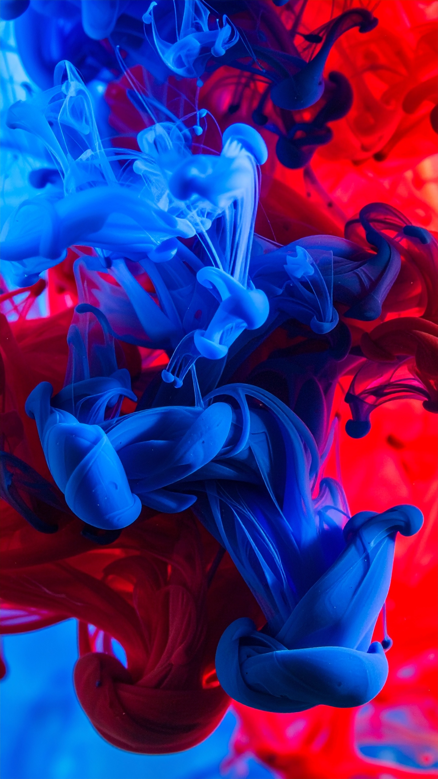 Abstract Blue and Red Ink Swirls in Water