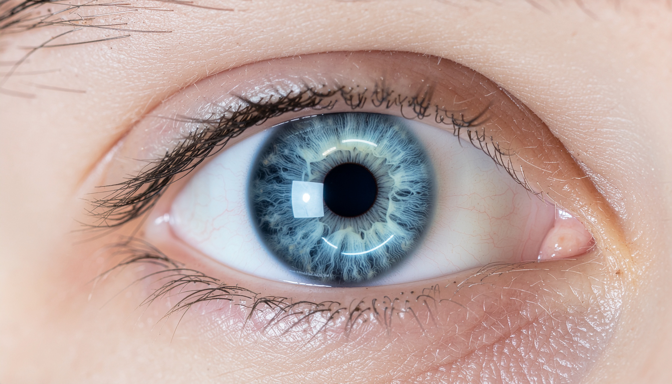 Close-up de um olho humano azul, destacando detalhes intrincados da íris e pupila. A luz suave ressalta a textura dos cílios e pele ao redor, criando uma composição nítida e intimista. A imagem capta a complexidade e beleza dos padrões oculares em alta resolução.