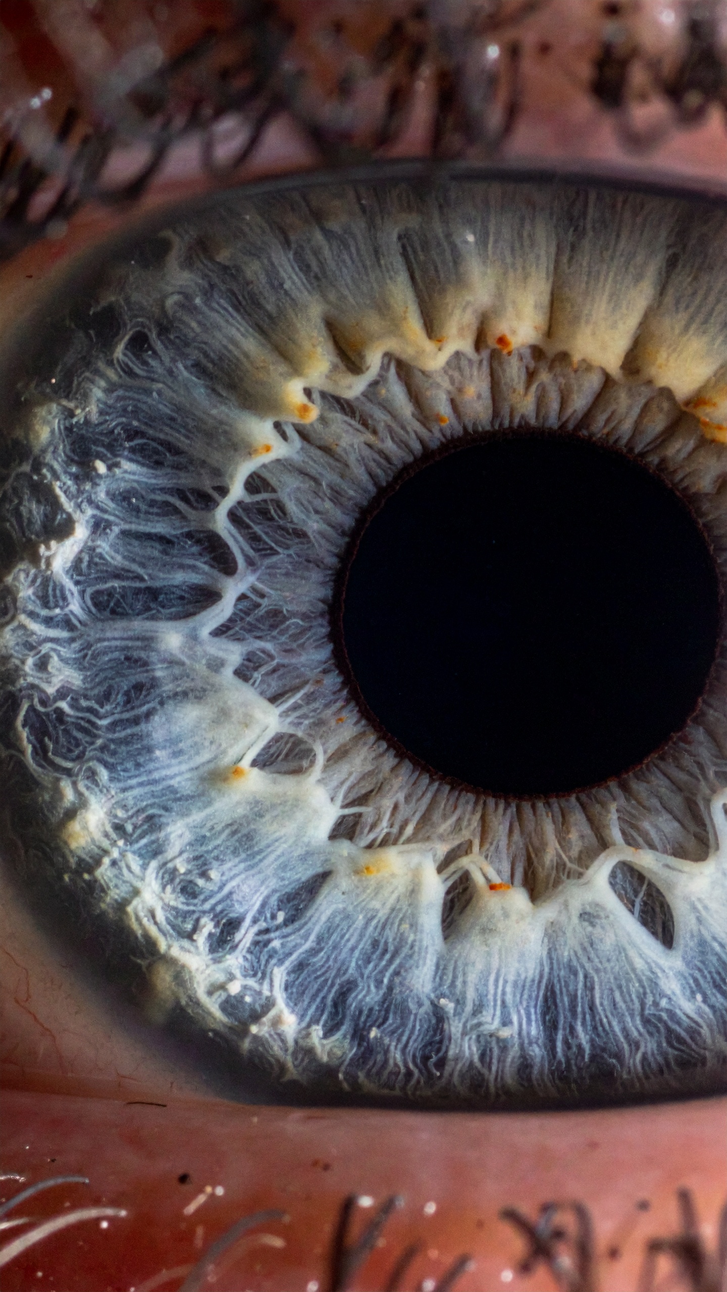 A detailed close-up of a human iris showing intricate patterns and colors