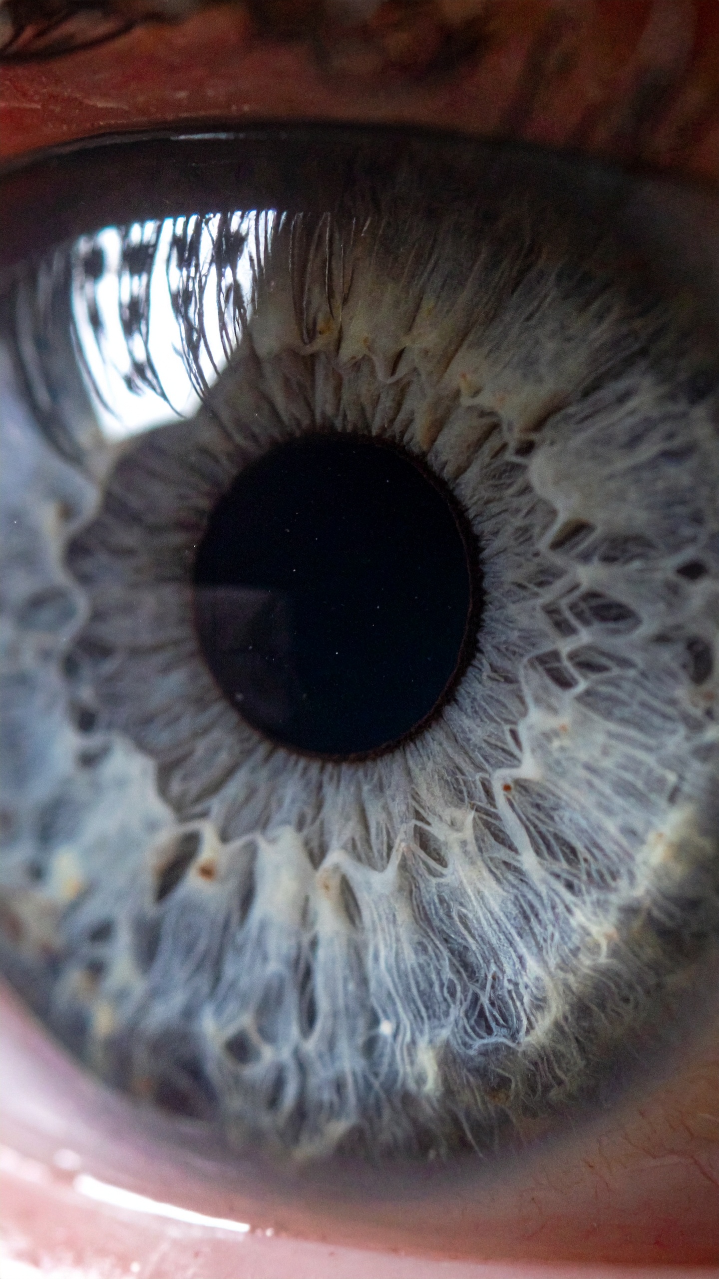 An ultra-close-up view of a human eye reveals intricate details of the iris